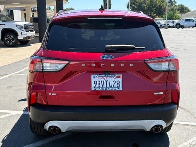 2020 Ford Escape SEL